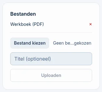 Het blok Bestanden met een geüpload werkboek